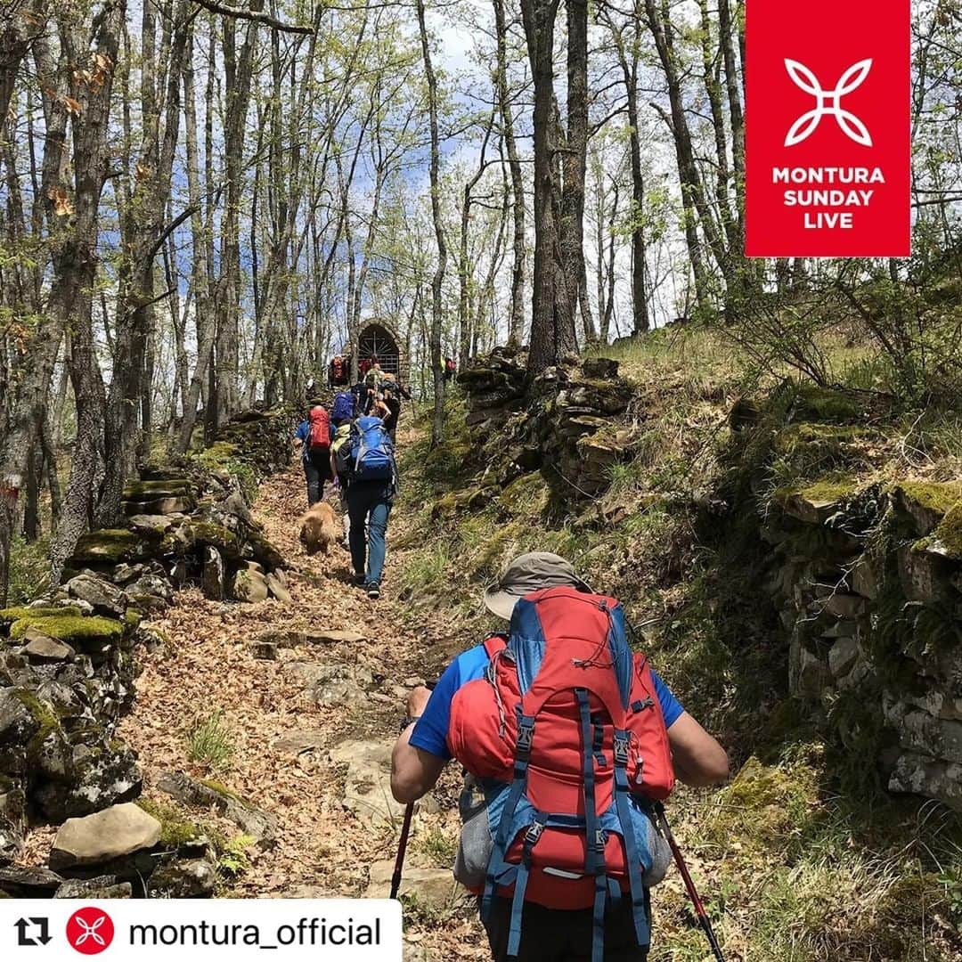 のインスタグラム：「#Repost @montura_official with @make_repost ・・・ “Il nostro sogno è unire l’Italia intera in un grande abbraccio, percorrendo a piedi gli straordinari territori che il nostro Paese sa offrire non appena si abbandona la strada asfaltata”. Con queste parole del presidente del @club_alpino_italiano, Vincenzo Torti - fra gli ospiti del live di Stazione Radio domenica 3 maggio alle 16 - auspichiamo che la lenta riapertura dei prossimi mesi si traduca in una riscoperta della lentezza degli spostamenti. Fra gli emblemi del turismo sostenibile c'è il Sentiero Italia CAI, circa 480 tappe fra tutte le regioni, per un totale di oltre 7000 km: un percorso trasversale che offre una prospettiva molto peculiare di economia e territori. Scopri tutte le proposte di viaggio lento che racconteremo nella rubrica Montura Sunday Live. Iscriviti all'evento ---> Link in bio. Vieni ad ascoltare chi si muove a piedi, a bici e in treno. Fai le tue domande. Racconta la tua esperienza!」