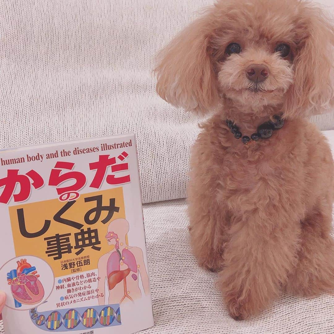 高橋里帆のインスタグラム