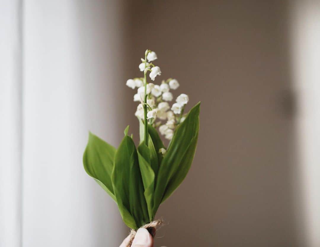 Rihoのインスタグラム：「Jour de muguet  フランスでは5月1日に 大切な人や家族に 『あなたに幸運が訪れますように』 という願いを込めて、スズランを贈り合います。 Parisの街角にはスズランのブーケ売りがたくさんいます。  わたしもParisに住んでいた頃、友人達にスズランを贈り そして いただきました。  今年は 写真でたくさんの方達に いろんな願いを込めて このスズランを贈ります*」