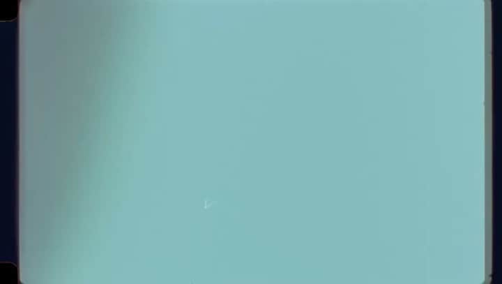 ジャッキー・グローネンのインスタグラム：「We mogen weer 🧡 Veel plezier allemaal!」