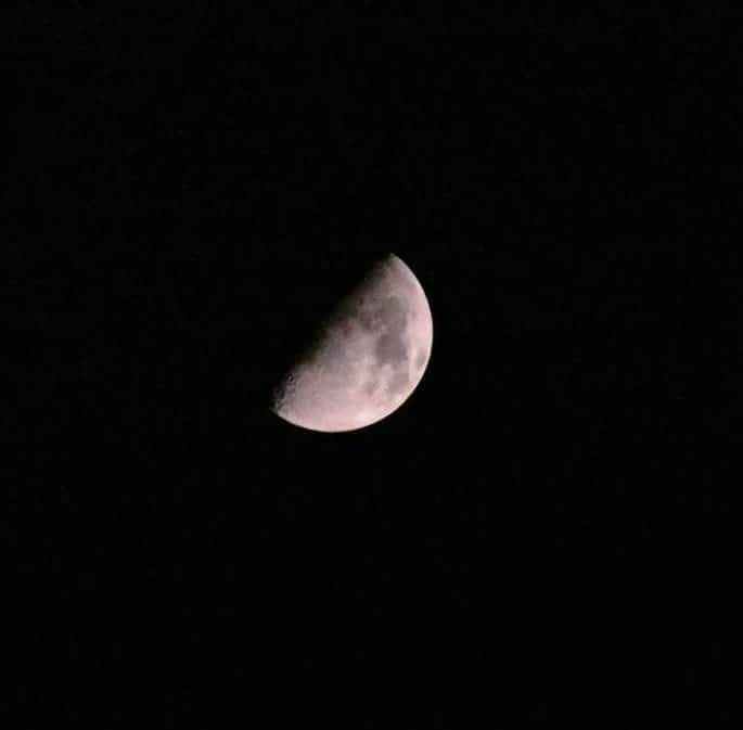 丸本凛さんのインスタグラム写真 - (丸本凛Instagram)「今夜も月の撮影をしてたんですが、かなり苦戦しました😭 最終的にホワイトバランスを変えて撮ってみました！ 沢山勉強できた！おやすみなさい。😪 #道のりはまだまだ長い #月 #難しい #moon #カメラ #nikonphotography #d3500 #一眼レフ初心者 #variety」5月2日 0時16分 - rinmarumoto