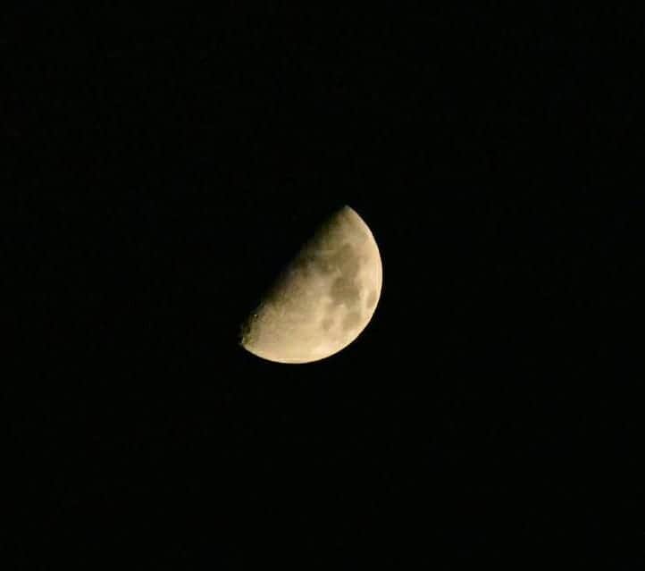 丸本凛さんのインスタグラム写真 - (丸本凛Instagram)「今夜も月の撮影をしてたんですが、かなり苦戦しました😭 最終的にホワイトバランスを変えて撮ってみました！ 沢山勉強できた！おやすみなさい。😪 #道のりはまだまだ長い #月 #難しい #moon #カメラ #nikonphotography #d3500 #一眼レフ初心者 #variety」5月2日 0時16分 - rinmarumoto