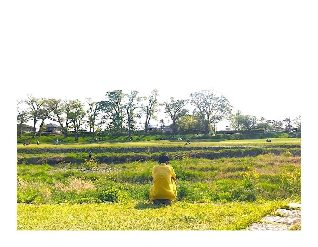 Yasuji Narutoのインスタグラム：「こないだ撮ってもらったお気に入りの写真  でっかい菜の花」