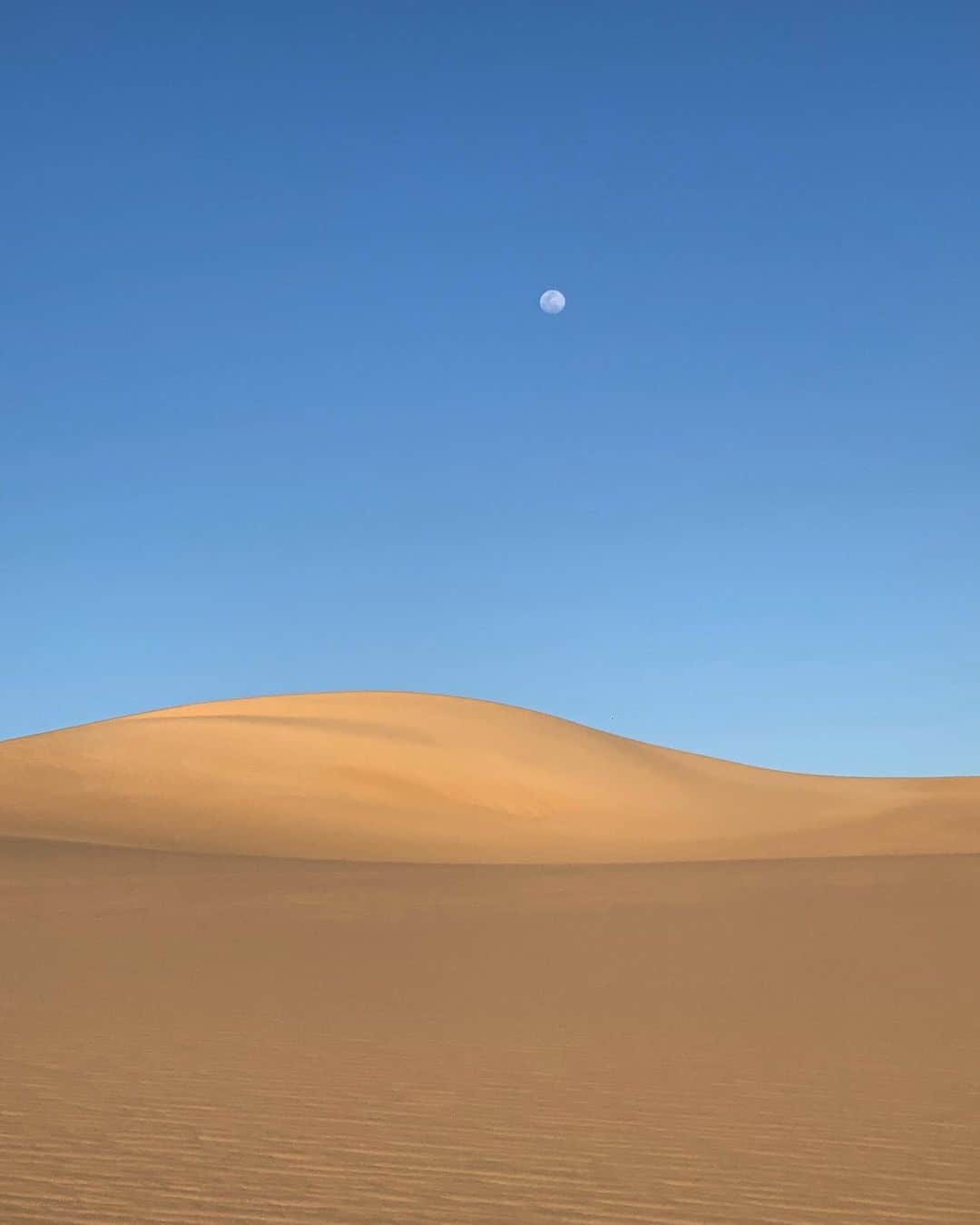 キム・ジョーンズさんのインスタグラム写真 - (キム・ジョーンズInstagram)「A year ago in the Sahara」5月2日 1時45分 - mrkimjones