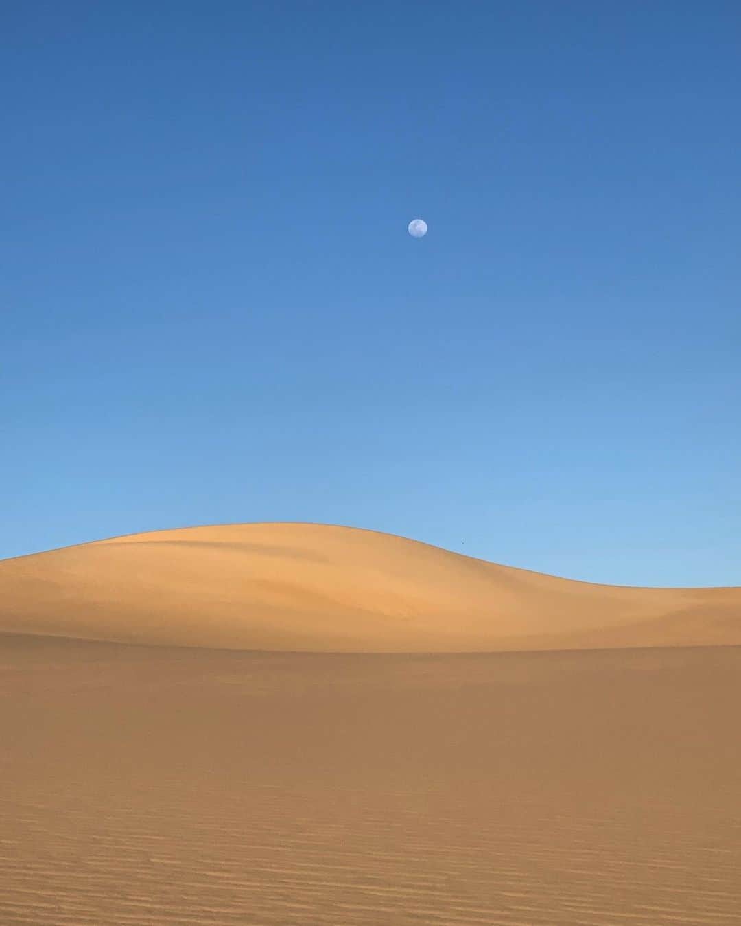 キム・ジョーンズのインスタグラム：「A year ago in the Sahara」