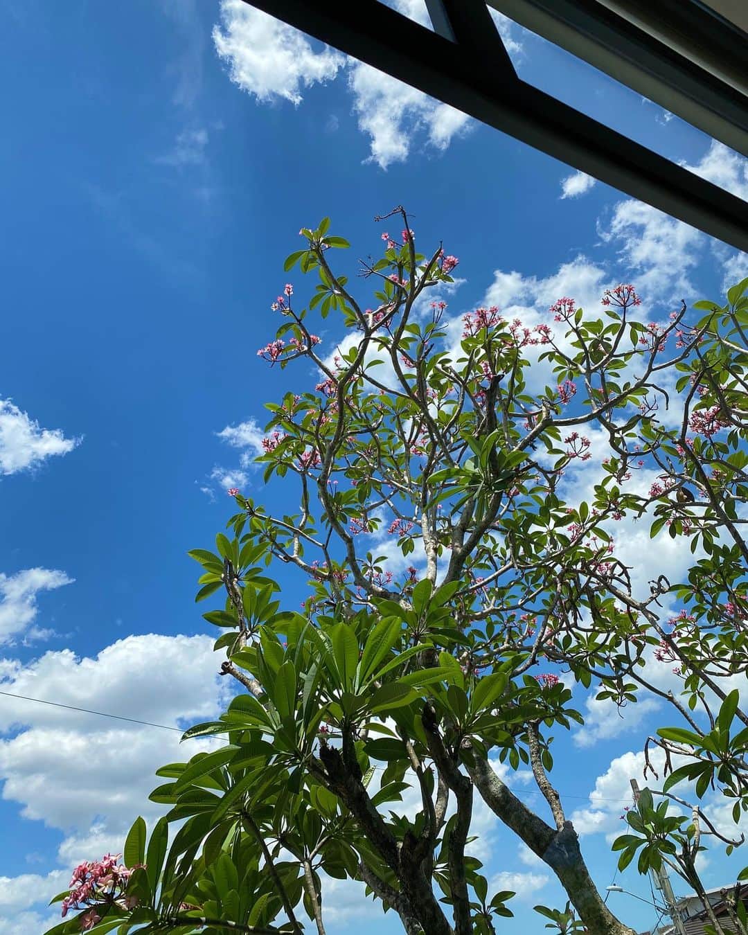 のインスタグラム：「mornings at home 🌼」