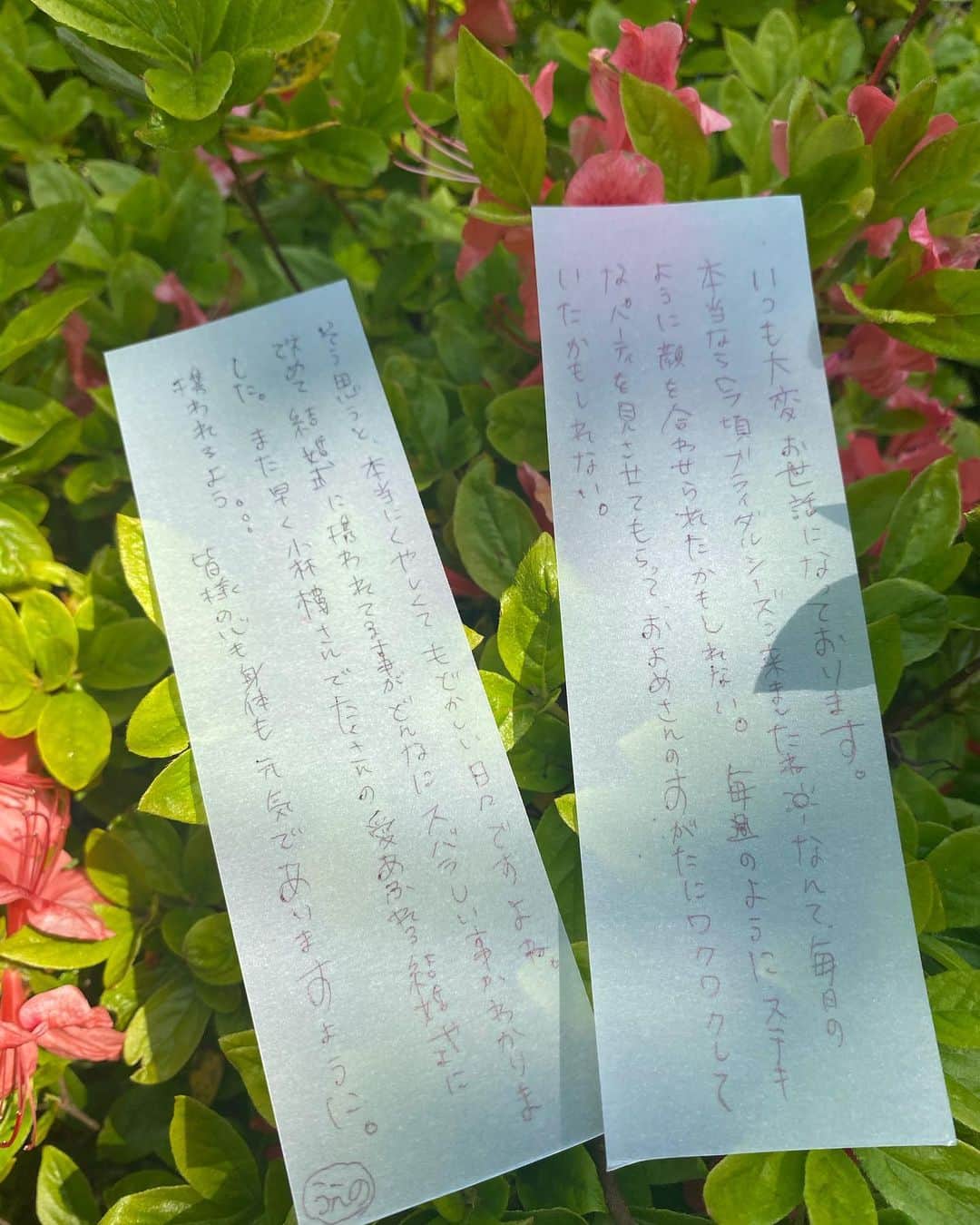 小林樓《新潟県見附市：結婚式場》のグルメインスタ