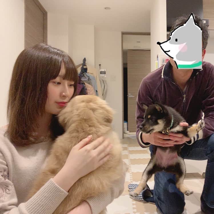 環奈（長沢菜々香の飼い犬）のインスタグラム：「チャコ。 環奈と遊んでくれてありがとう😢💦 . . . . .  #豆柴#柴犬#日本犬#黒柴#黒豆柴#まめしば#しばいぬ#しば#しばすたぐらむ #こいぬ #柴  #ここ柴部#柴子犬 #shibalove #mameshiba #kuroshiba #shibainu #shiba #shibadog #shibastagram #shibastyle#なーこ#長沢菜々香」