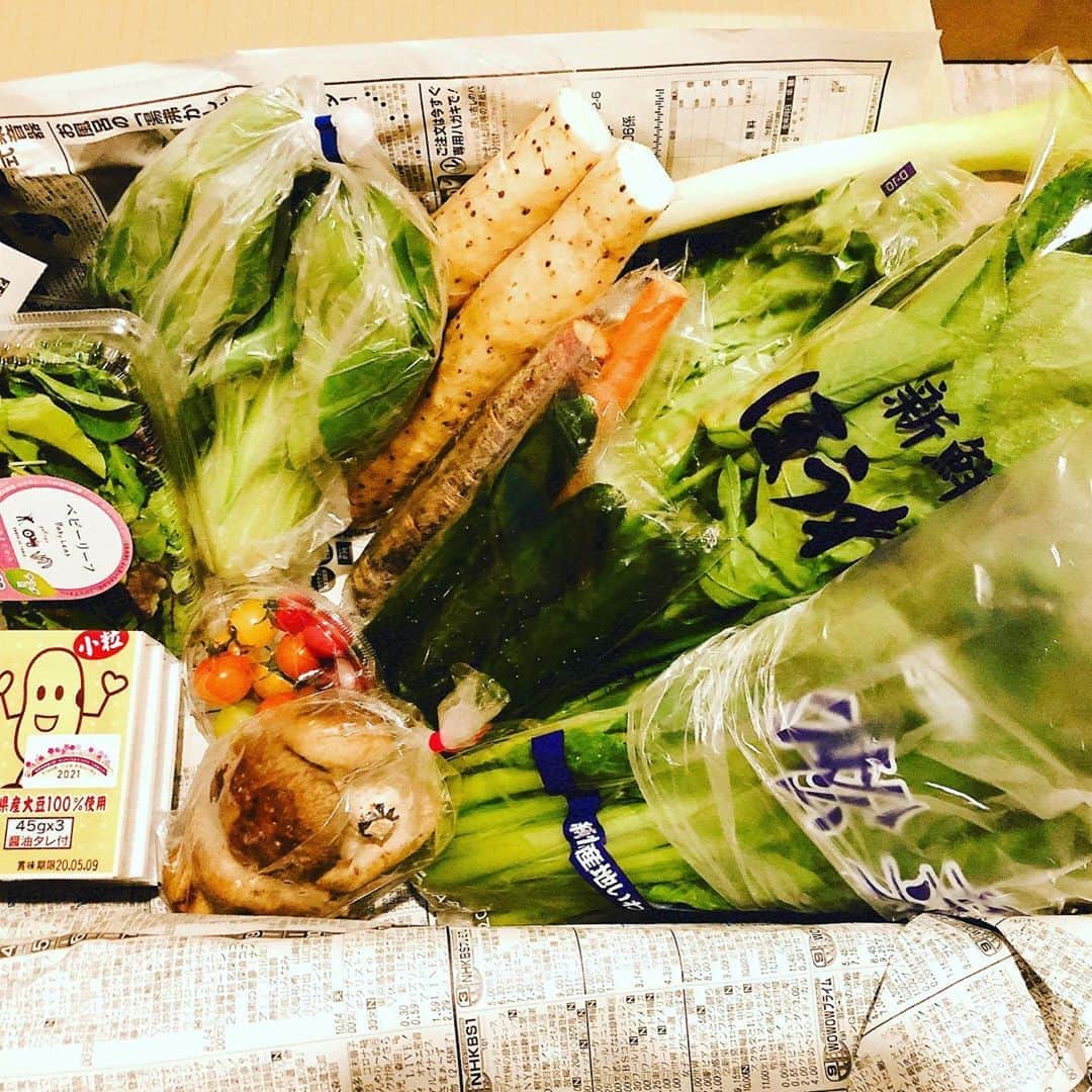 菊間千乃さんのインスタグラム写真 - (菊間千乃Instagram)「ふるさと納税の御礼品で、たくさんの新鮮な野菜が届きました。お品書き付き。大変な時期にありがとうございます。農家の方、市役所の方、宅急便の方、皆さんの愛を感じるBOXです。スーパーに行かなくて済みます。大切に美味しく頂きます😊」5月2日 12時58分 - kikuma_yukino
