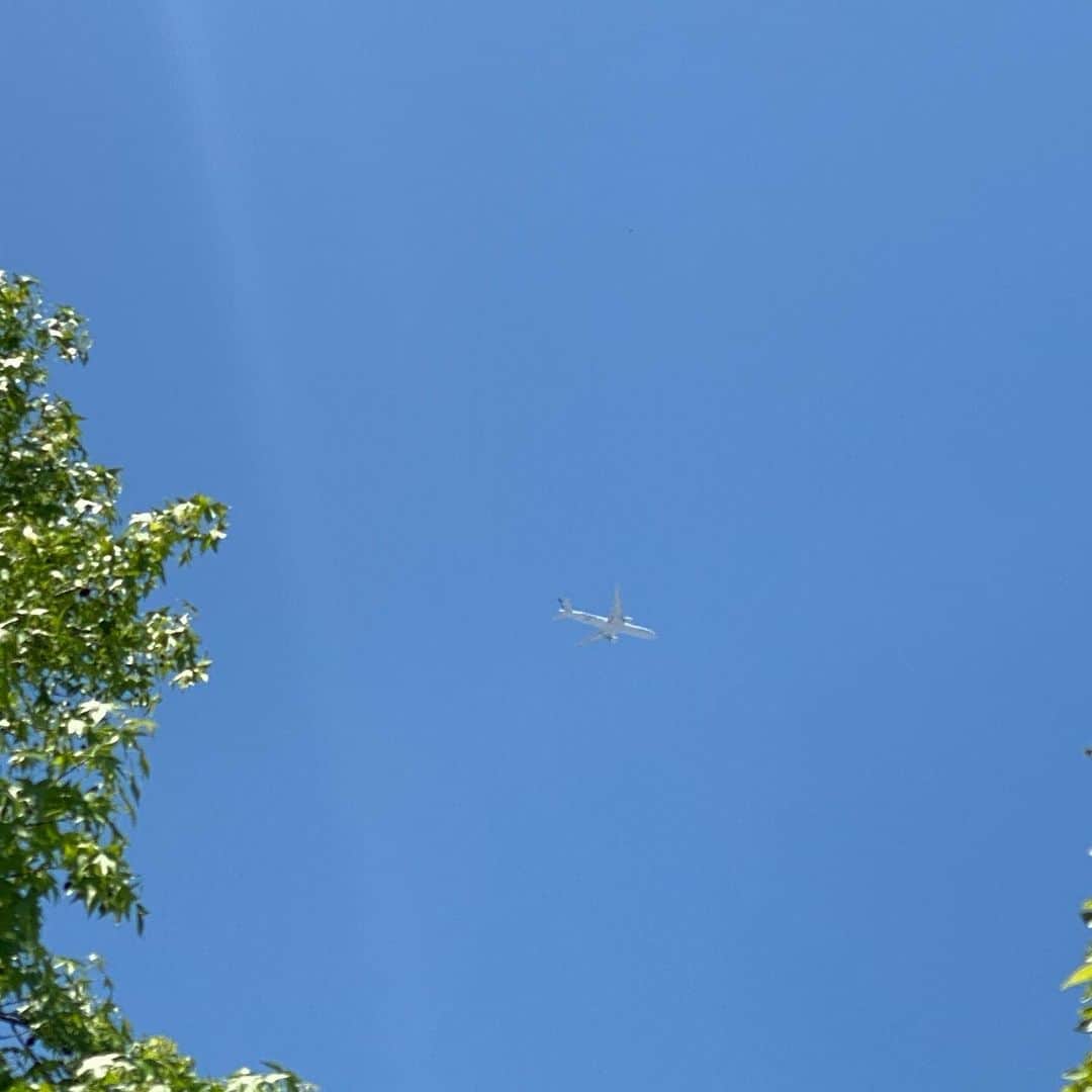 ケリス・ドーシーさんのインスタグラム写真 - (ケリス・ドーシーInstagram)「a rare plane and a sunbathe!」5月2日 5時54分 - kerrisdorsey