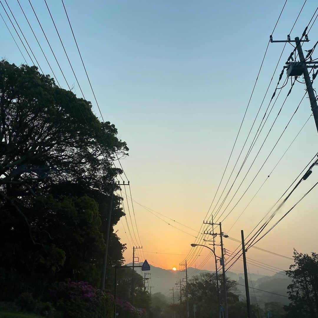板谷由夏 さんのインスタグラム写真 - (板谷由夏 Instagram)「早起きはなんだかしゃっきり‼️ 良き土曜日になりますように。」5月2日 6時16分 - yukaitaya