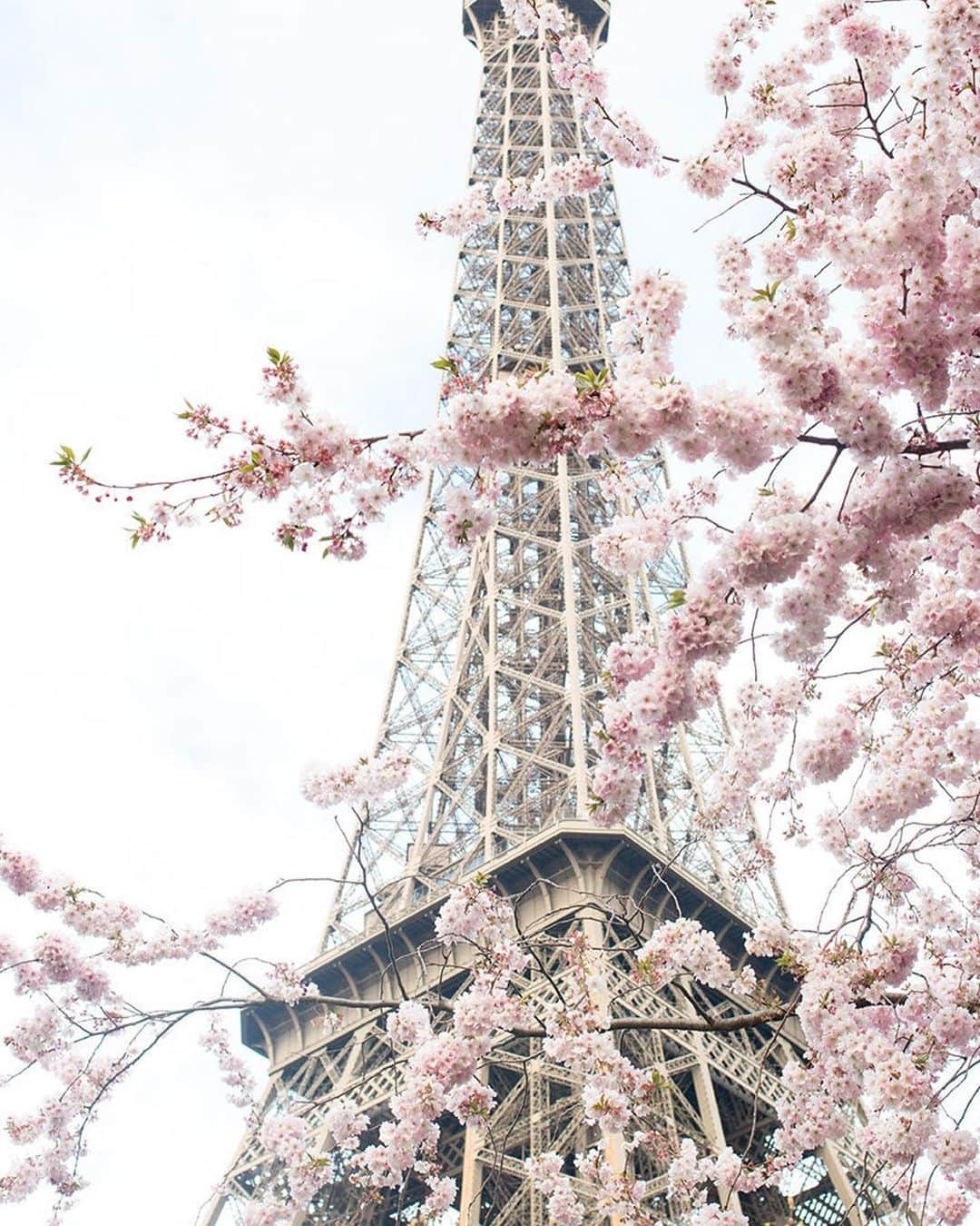 ダフネ・ジョイさんのインスタグラム写真 - (ダフネ・ジョイInstagram)「Paris in Spring, can we name a more romantic duo? Let’s debate lol」5月2日 6時33分 - daphnejoy