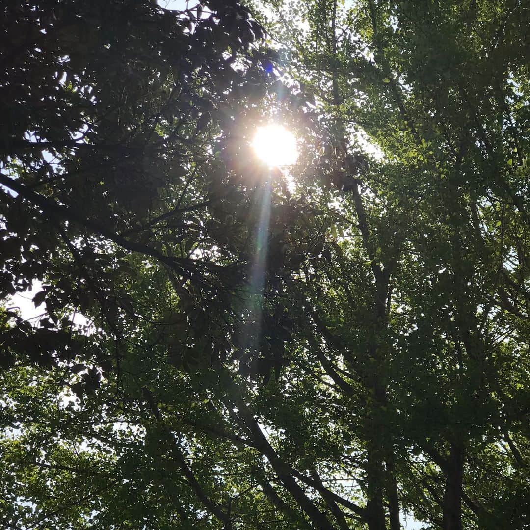前野えまのインスタグラム