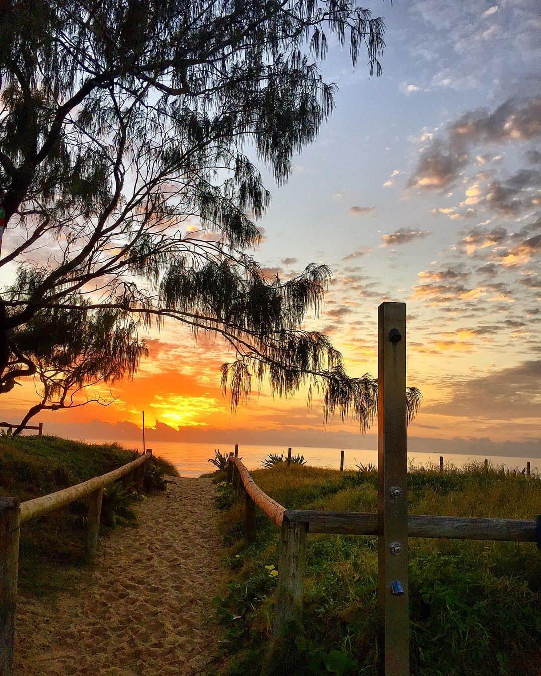 シャーニ・ヴィンソンのインスタグラム：「Good morning 🌅 #sunshinecoast #sunrise #oceanlife #backyard #view #naturewalk #queensland #australia #beach」