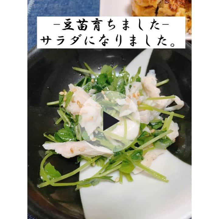 佐山万里菜のインスタグラム