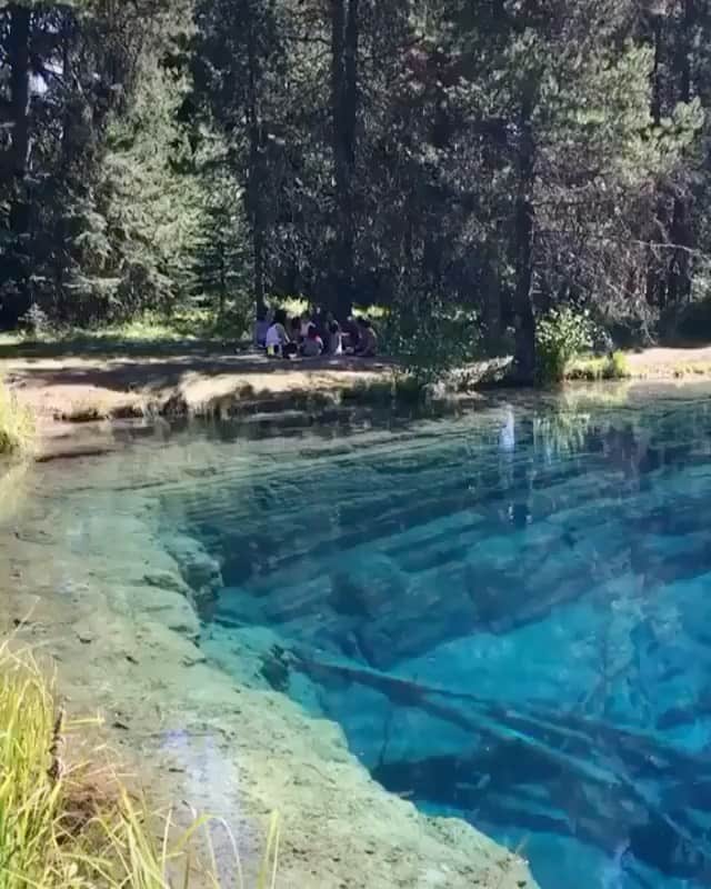 BeStylishのインスタグラム：「Tag a friend you’d take here💧🌝🌸 By: @nickverbelchuk  Follow @bestylish⠀⠀⠀⠀@bestylish ⠀⠀⠀⠀⠀⠀⠀⠀⠀⠀⠀⠀⠀⠀⠀⠀⠀⠀⠀⠀⠀⠀⠀⠀⠀⠀⠀⠀⠀⠀⠀⠀⠀ ⠀⠀⠀⠀⠀⠀⠀⠀🔛⠀FOLLOW⠀@bestylish ⠀⠀⠀⠀⠀⠀⠀⠀🔛⠀FOLLOW⠀@bestylish ⠀⠀⠀⠀⠀⠀⠀⠀⠀⠀⠀DOUBLE TAP❤️ TAG YOUR FRIENDS! ✔️ ⠀⠀⠀⠀⠀⠀⠀⠀⠀⠀⠀⠀⠀⠀⠀⠀⠀⠀⠀⠀⠀⠀⠀⠀⠀⠀⠀⠀⠀⠀⠀ ⠀⠀... #video #vine #fun #amazing #water #men #crazy #animal #happy #fitness #speed #lovely #bestylish #entertainment #nature」