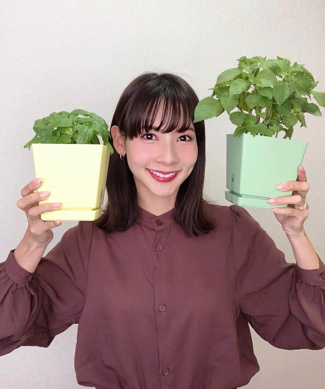 阪本智子のインスタグラム