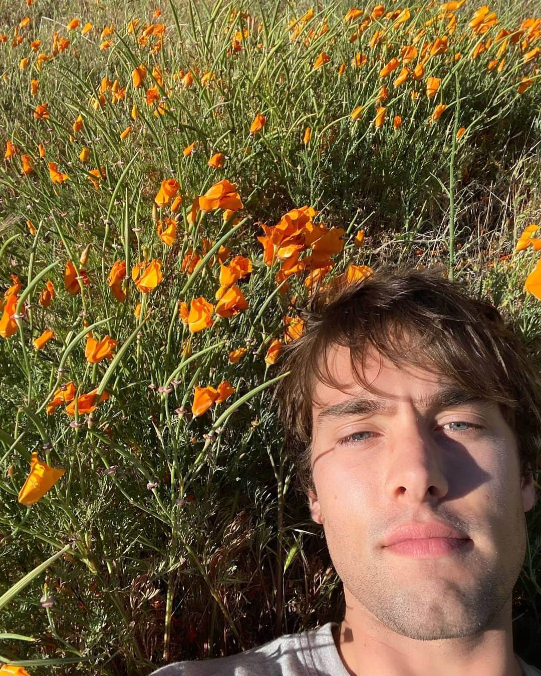 オースティン・ノースのインスタグラム：「oh this is what the outside world is like🙃」