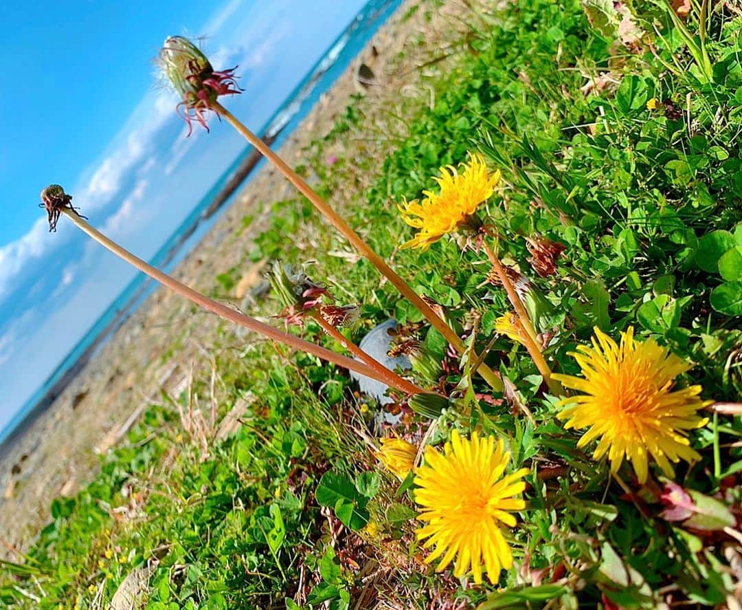 のインスタグラム：「I'm always living while feeling nature 🥰  most precious thing is my own mind deciding ✨  I only follow it , I love ...❤️」