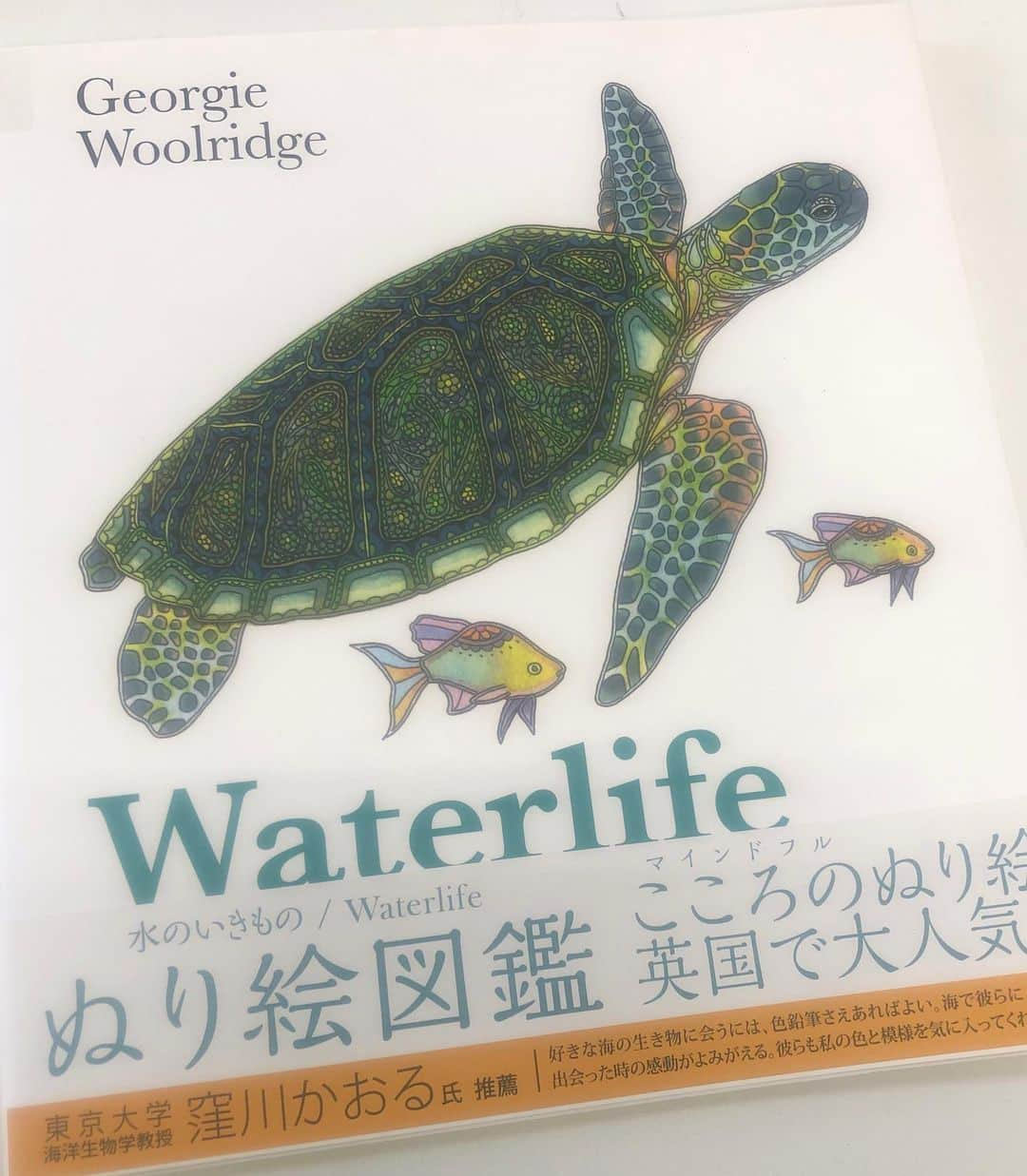 福島和可菜さんのインスタグラム写真 - (福島和可菜Instagram)「天気ぅぃぃぃいいー☀️☀️☀️今日はお布団干し日和😚ですなぁ✋  すっかりインドア生活になってます🏠  早く外に出て、お仕事したーーーい‼️‼️‼️ 気持ちでいっぱいですが…、昨日もオンラインサロンのマンツーマンパーソナル時間など、  充実のおうち時間を過ごせています😊  YouTubeも始まりましたし㊗️ その時に出来る最大限の楽しみを✨✨✨ 今日は #おうち時間 のオススメをご紹介🤲 ✒️ぬりえ✒️ です🥰  何と‼️‼️‼️‼️‼️ 妹の舞ちゃんがプロデュースしたぬり絵❤️ 🐟水のいきもの🐟 可愛過ぎるーーー😳  こころのぬり絵✨同じ絵でも色が違うだけで、全然違って見えますよね☺️個性も出るし👍  あなたなら…  どう塗りますか❓🥰 他にも、動物、鳥などもあります✋ インドアの楽しみの1つにぜひ😁  今日のFMヨコハマは、ゴールデンウィークスペシャルバージョン✨  私も16:41〜電話で生出演させていただきまーす😚  #舞ちゃん #プロデュース #ぬり絵 #ぬりえ #Water #life #水のいきもの #おうち時間 #オススメ #家にいよう #カメ #タツノオトシゴ #タマカイ #ハタ #イカ #サバ #カジキ #魚 #fish #colour #happy #可愛い #sister #radio #生放送 #🏠 #😊 #🐟 #❤️」5月2日 9時52分 - fukushimawakana