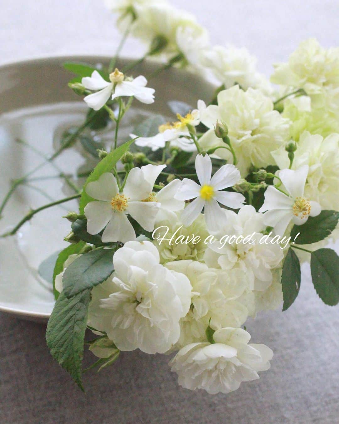 雑誌『花時間』さんのインスタグラム写真 - (雑誌『花時間』Instagram)「おはようございます。﻿ ﻿ 今日は夏日の予報。お買い物は早めに済ませたほうがよいのかな？﻿ ﻿ 玄関先のノイバラが咲き始めたので、ちょっとだけ手折って、いけてみました。﻿ ﻿ ひと重の白いお花がそう。﻿ ﻿ 日本の野バラの代表種。秋になると、お花屋さんに出回るノバラの実って、このお花の実なんです。﻿ ﻿ お花屋さんに並ぶバラと違って、風貌は控えめちゃんですが、いっせいに咲いたときには、バラの樹に雪が降り積もったようになります。﻿ ﻿ そして、風に揺られて、ふわふわ。﻿ ﻿ 合わせた花の中に、イタズラをしました（笑）﻿ ﻿ 2枚めのpicを見て。﻿ ﻿ ノイバラの花にそっくりなシシリンチウムを1輪。﻿ ﻿ シシリンチウムは、空き地でもよく見かけるニワゼキショウの仲間。﻿ ﻿ パッと見は、他人の空似！（笑）﻿ ﻿ お花って楽しいですね。﻿ ﻿ では、本日も元気smile😊😊😊でエンジョイステイホーム🏠！ by ピーターパン﻿ ﻿ ﻿ #flowers #flowerslovers #flowerstagram #flowerarrangement  #花時間 #花時間2020 #花好き #花藝 #花好きな人と繋がりたい #花が好きな人と繋がりたい #花のある生活 #花のある暮らし #花を飾る #花を飾る生活  #ノイバラ #グリーンアイス  #シシリンチウム #バラの季節 #バラのある暮らし  #エンジョイステイホーム  #つるバラ #ビタミンf  #白いバラ #白いバラが好き #白い花が好き #風薫る #花屋さんへ行こう ﻿ ﻿ ﻿」5月2日 10時20分 - hanajikan_magazine