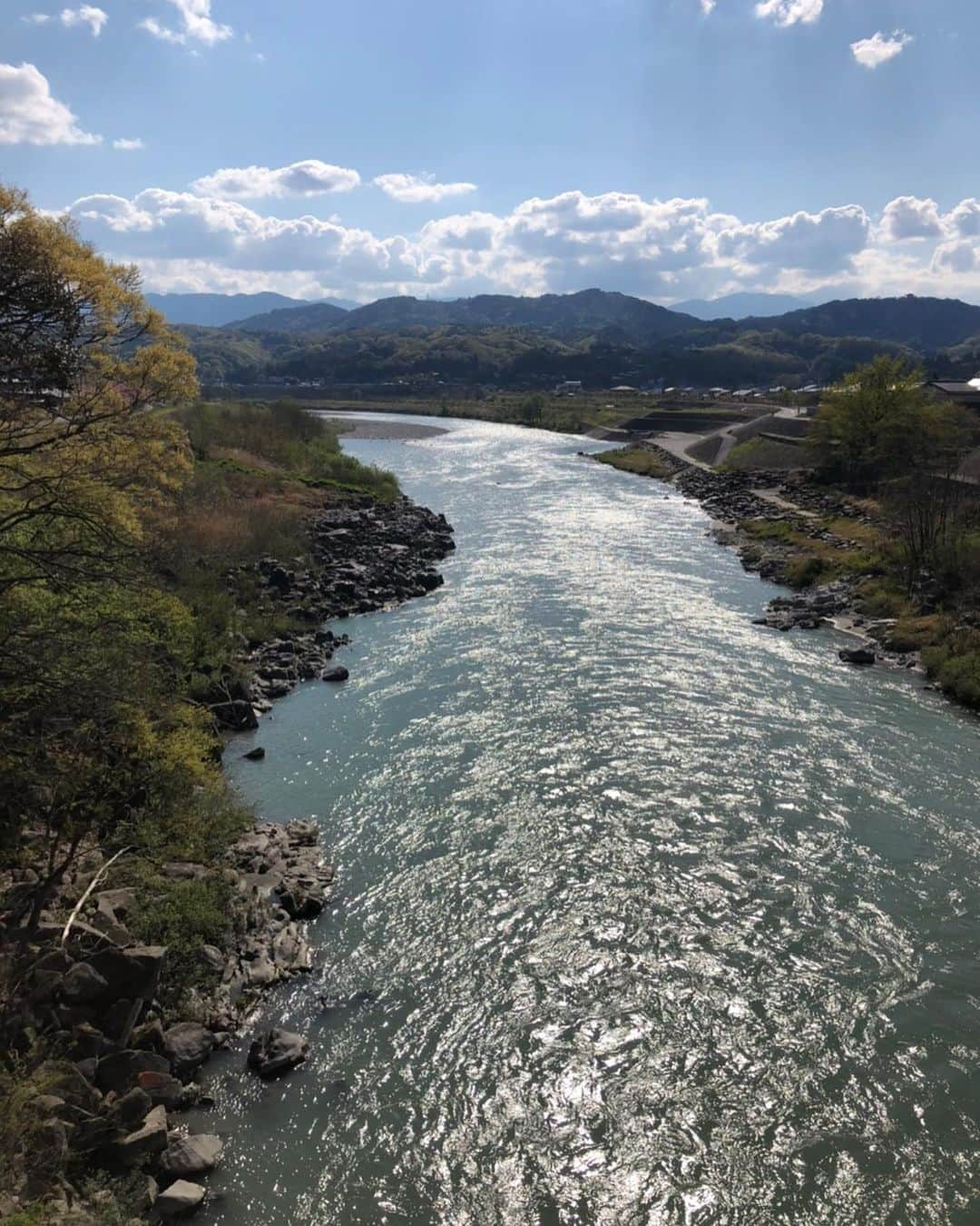 ニッチロー'さんのインスタグラム写真 - (ニッチロー'Instagram)「天竜川沿いの八重桜🌸  来年は皆さん見に来て下さい！  #おうちでながの #八重桜 #桜街道 #天竜川 #長野県飯田市」5月2日 10時45分 - nicchiro5.1