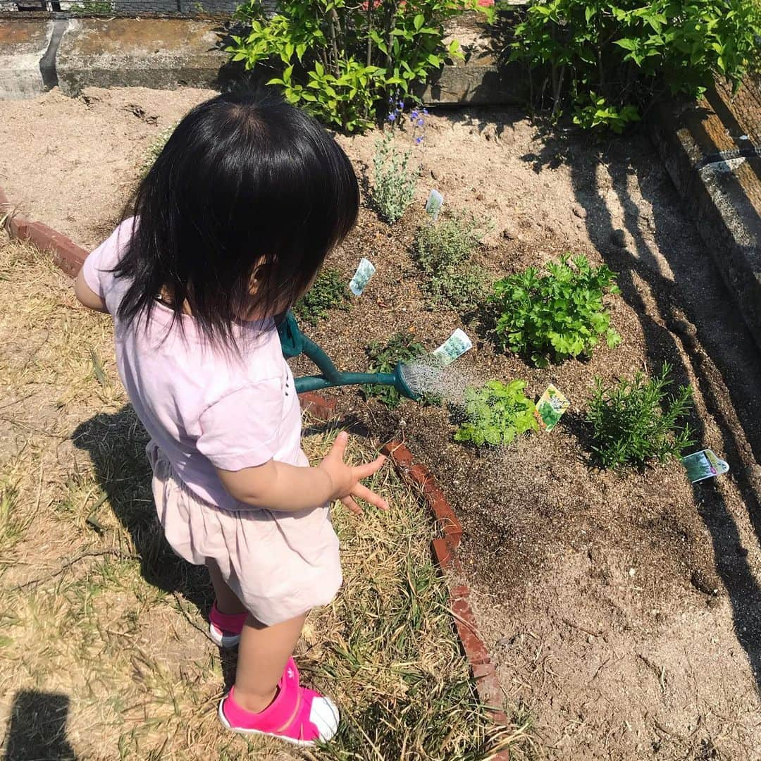 澤田泉美さんのインスタグラム写真 - (澤田泉美Instagram)「なんでも自分でやりたいとき！  洋服は自分で着たい。 コップに自分で飲み物を注ぎたい。 植物に水やりしたい。 他諸々  好奇心や意欲はそのまま大切にしてあげたい！ でも、今日はその意欲のせいで お兄ちゃんの頭に牛乳をぶちまけてしまったね笑  テーブル上にあるコップに注ぐはずが、 床に座って、テレビを見てるお兄ちゃんの頭にね笑  コントみたいな朝のはじまりでした🤣🤣🤣‼︎ #朝#ドタバタ #毎日#何かが起こる #水やり#イタリアンパセリ #バジル#ローズマリー #セージ#タイム #兄妹#新生児」5月2日 11時21分 - izumi.sawada