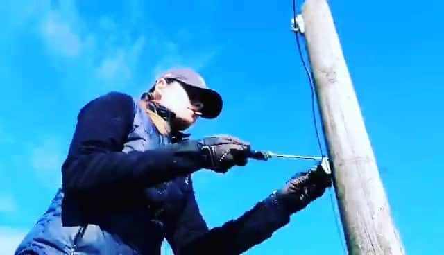 ソルヴェイグ・モルク・ハンセンのインスタグラム：「💪 Farm life Vol. 2 Got my handywomans gloves on! 🤠 🧤🐴 #fencemaintenance #farmgirl #handywoman #isolation #stayhome #staysafe #farmlife #modelfarmgirl」