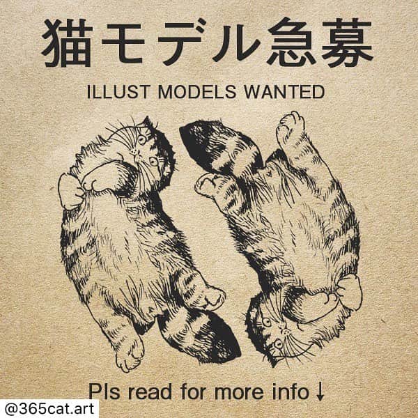 Nico & Tabu with MAYUMI KATOのインスタグラム