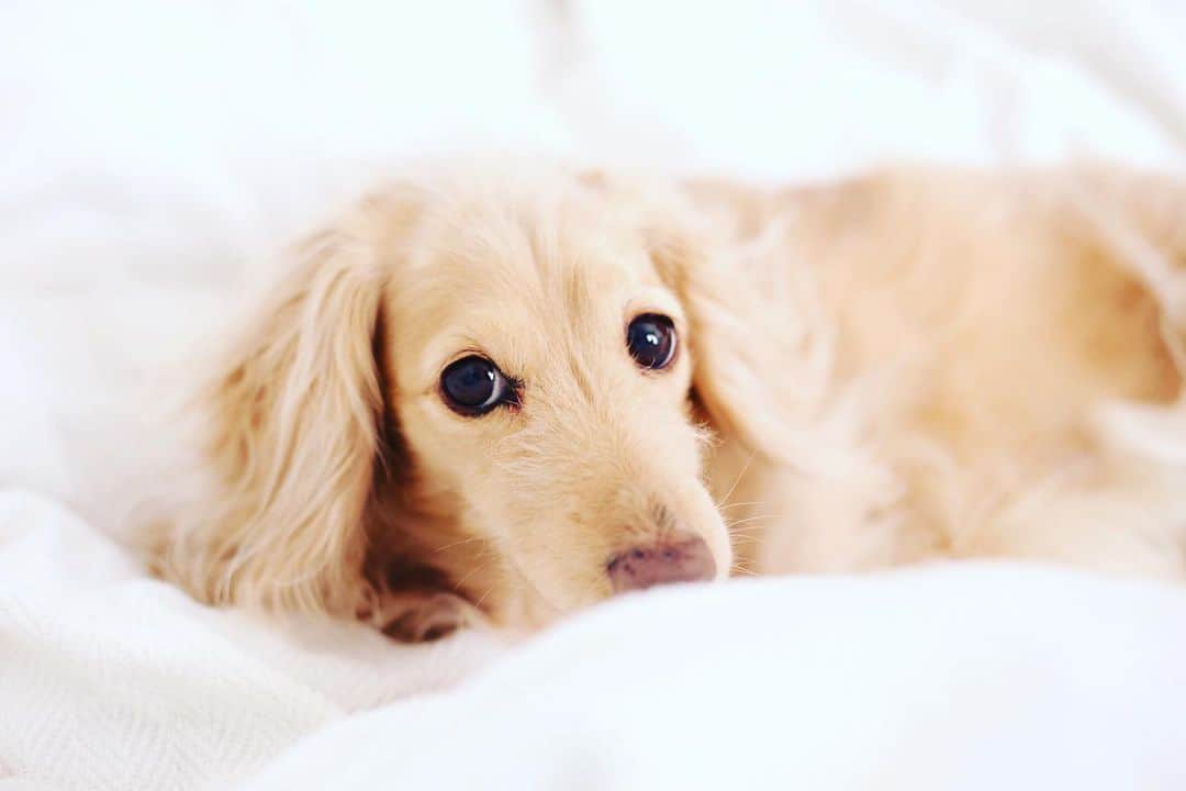 のインスタグラム：「Good Night」