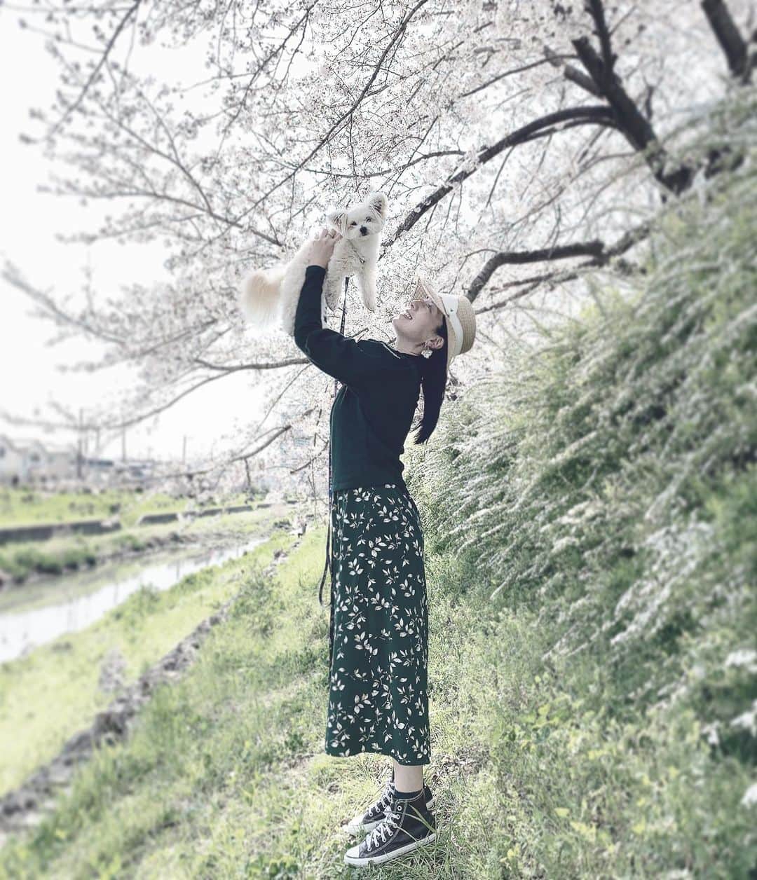 チャン・リーメイのインスタグラム：「桜舞い散っていた頃の写真🌸 ✴︎ 自粛生活も1ヶ月。 ✴︎ ママは早く焼き鳥屋に行きたい😭 ✴︎ 🌸🌸🌸 ✴︎ #japanesespring  #かけがえのない時間」