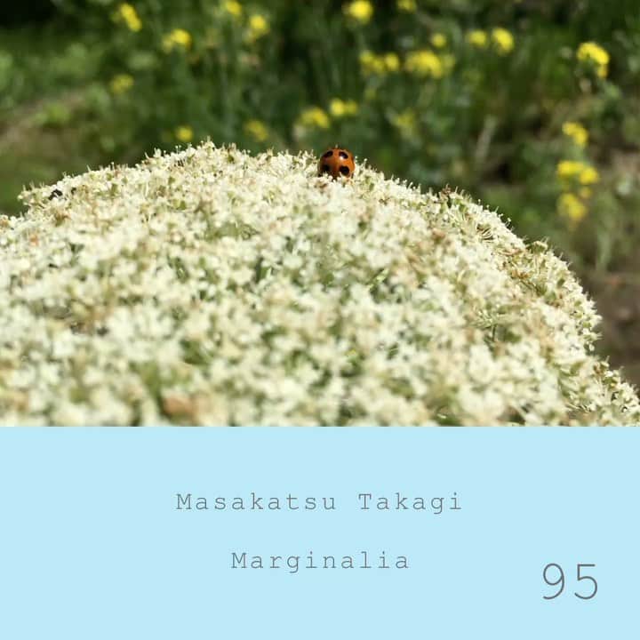 高木正勝のインスタグラム：「A little early summer comes. Today’s air was light green.﻿ ﻿ Marginalia #95﻿ ﻿ Link > bio﻿ ﻿ 春が過ぎて、初夏の気配に包まれました。﻿ ﻿ マージナリア　#95﻿ ﻿」