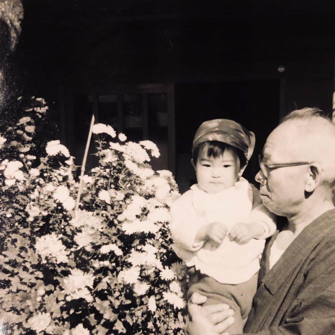 藤田朋子さんのインスタグラム写真 - (藤田朋子Instagram)「Facebookで渡されたバトン 子供の頃の写真をアップするやつ 祖父母との写真📷 昭和40年生まれ 茶室や鯉の棲む小さな小さな池のある庭には祖父母の好きな花木が植えられて、車を停めるスペースの上には花壇。そこには祖父が日曜大工で作った温室。祖母が育てる植木が。 藤田家初めての孫だった私は大切に抱かれていたんだなと大人になって気づきます🌸 朋子という名前は祖父が「棚に反物が並ぶように友達が増えますように」と願いを込めた名前。 おじいちゃん、そうなりましたよ🌜有難う🌛」5月2日 22時11分 - chiendormant