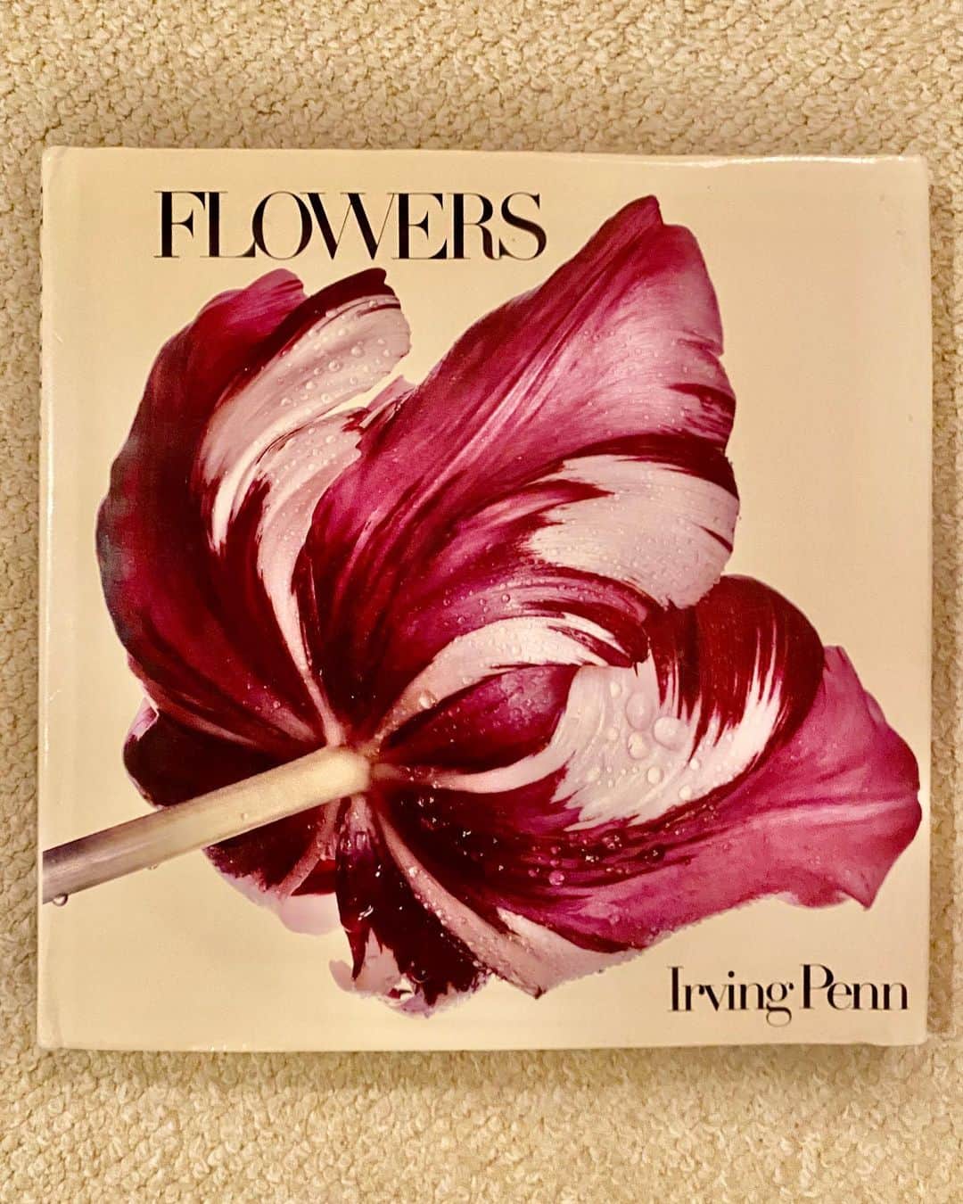 Yusuke Saekiのインスタグラム：「親友、我らが @goyuki2000 から回って来た　#bookcoverchallenge。 . 僕は大好きなIrving PennのFLOWERSを選びました。 何回見ても新しい発見のある魅力的な一冊だなといつ見ても思います。. 自然って究極に美しい。  このバトンは今超話題のヘアサロン、sense of humore @senseofhumour_salon 代表  @kenichiforsenseofhumour に繋ぎます✨✨ . . センス抜群のケンイチが選ぶ一冊。 楽しみ〜❤️」