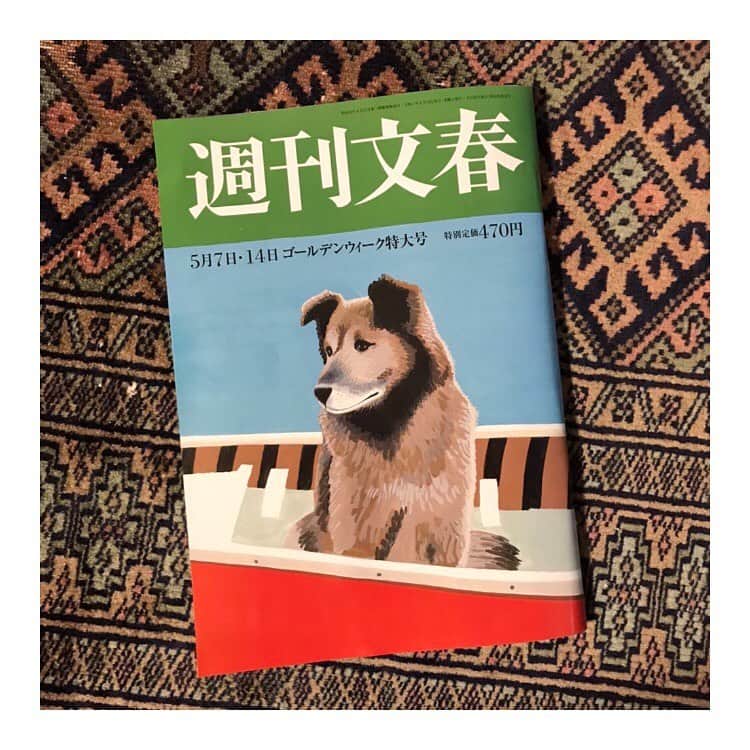 松田青子のインスタグラム：「週刊文春の「ほんとうの韓国」特集にて、韓国文学のおすすめ5冊を紹介しています。また、その中の一冊である『となりのヨンヒさん』の著者チョン・ソヨンさんと3月にイベントをするはずだったのですが延期になったので、その場で聞いてみたかったことを個人的に質問させていただきました(ソヨンさんに英語で答えてもらい、私が日本語に訳しました)。すごく素敵なお答えなのでぜひぜひ読んでください。」