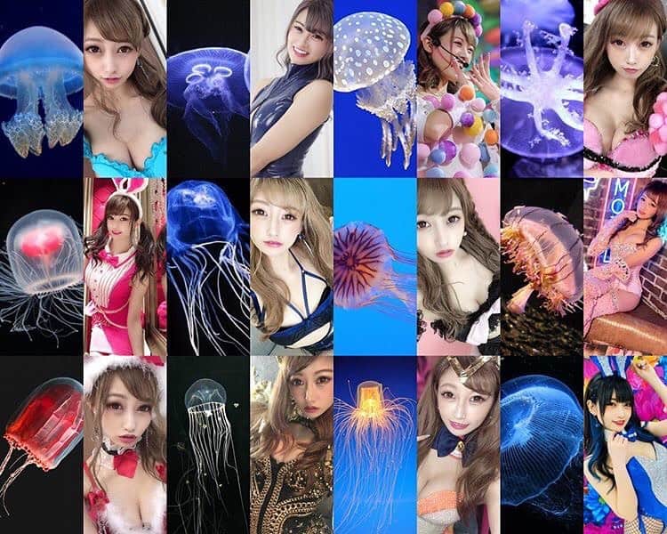 のインスタグラム：「最後はこれ！！！！！ めろんちゃん作！！！！！！ . . ちょうどチェキがすごい量きてインスタライブもあったから時間におわれてて、でも丁寧に描きたくてあ〜💭💭💭⚡️ってなってた時に送ってくれて、、🥺🥺 . . くらげだいすきだからすごく嬉しかったし、癒されたし、感謝しかない🥺💭💦💦💙 . . #おうち時間  #stayhome #stayathome #くらげチャレンジ#くらげの水族館 #くらげの擬人化#海月姫#バーレスク東京#jellyfish #自宅警備員#みんなが心の支え」