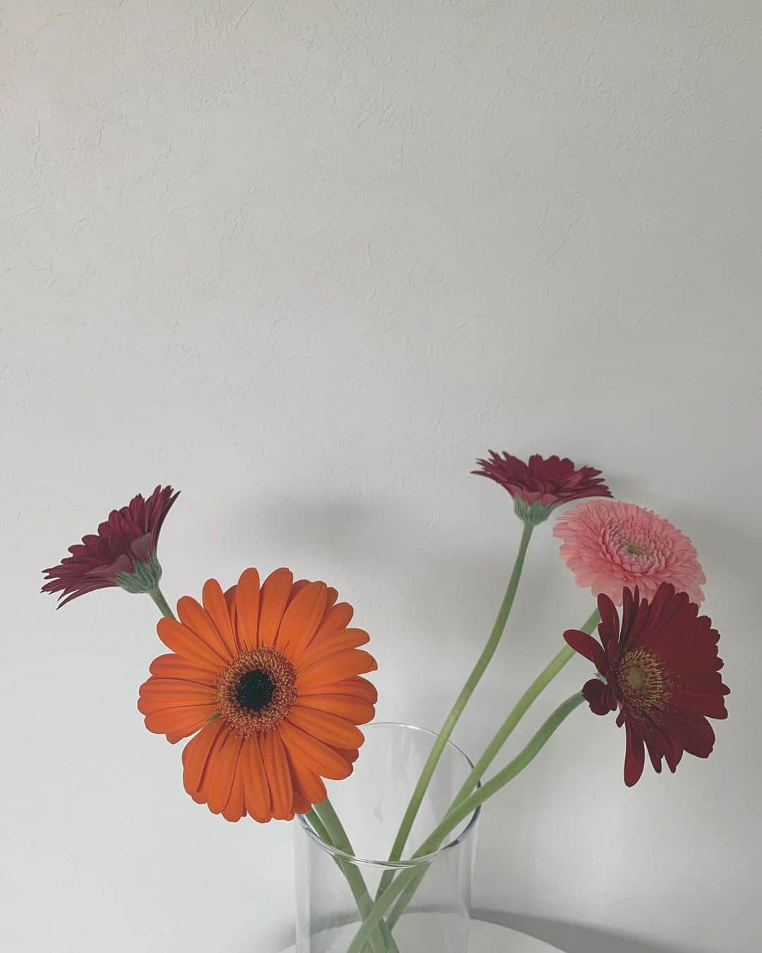 fumikaさんのインスタグラム写真 - (fumikaInstagram)「Be healed🌿💐﻿ ﻿ ﻿ #flower﻿ #緑のある生活﻿ #花はいいよなぁ〜﻿」5月2日 14時48分 - fumikasingasong