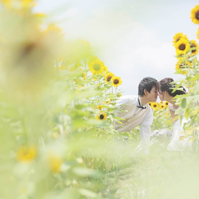 CLAIREのインスタグラム：「いつもの日常が戻ってくることを祈って✨ ・ いずれ前撮りや結婚写真を撮る時の参考にどうぞ。 ・ @clairebridalstudio」