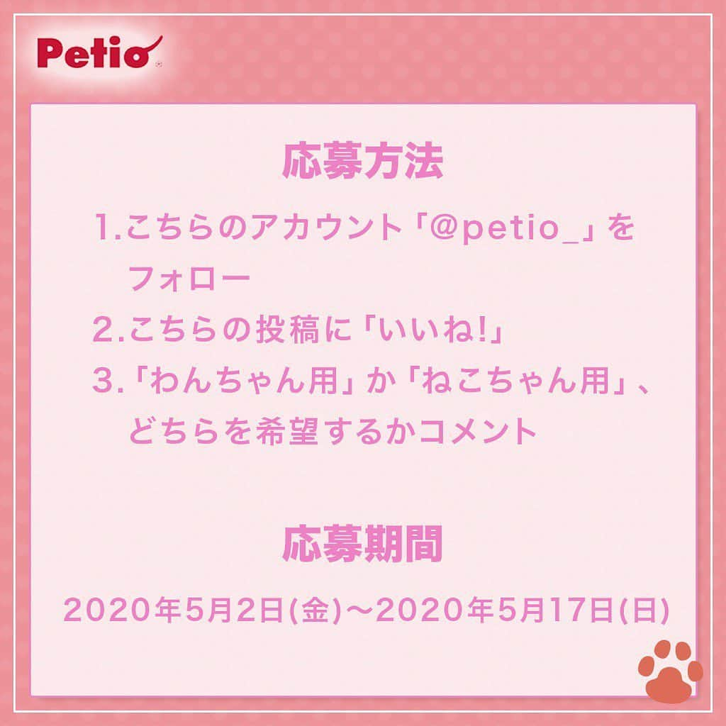 Petioさんのインスタグラム写真 - (PetioInstagram)「————— 豪華プレゼント企画【第3弾】🎁🐱🐶 ————— •ㅤㅤㅤㅤㅤㅤㅤㅤㅤㅤㅤㅤㅤ #petio ではフォロワーのみんなにGW特別企画  #プレゼントキャンペーン を実施🎊✨ •ㅤㅤㅤㅤㅤㅤㅤㅤㅤㅤ おうち時間がいつもよりたくさんある今、 愛犬愛猫のお手入れを一緒にしてみませんか？🌟 ・ 人気商品のお手入れグッズとおやつを 「わんちゃん用」・「ねこちゃん用」に詰め合わせた豪華賞品を 各10名様にプレゼント！😻🐶✨ 期間限定のスペシャル企画なのでお見逃しなくっ💕 •ㅤㅤㅤㅤㅤㅤㅤㅤㅤㅤㅤㅤㅤ ーーーーーーーーーーーーーーーーーー 【プレゼント内容】 お手入れグッズと人気商品のおやつセット🎁 コメント欄で『わんちゃん用』か『ねこちゃん用』のどちらか選んでコメントしてね🐶 (※賞品はすべて発送となります。) • 【応募方法】 1⃣このアカウント[ @petio_ ]をフォロー 2⃣この投稿に「いいね♡」 3️⃣「わんちゃん用」・「ねこちゃん用」どちらか欲しい賞品をコメントしてね🐶🐱 •ㅤㅤㅤㅤㅤㅤㅤㅤㅤㅤㅤㅤㅤ すでにフォローしていただいている方は、 「いいね♡」と「コメント」をするだけで応募完了です！✨ •ㅤㅤㅤㅤㅤㅤㅤㅤㅤㅤㅤㅤㅤ 【応募期間】 2020年5月2日(土)～2020年5月17日(日)23:59まで • 【当選結果】 当選された方には本アカウントよりDMをお送りします📩 ※連絡日より1週間お返事がない場合は当選を無効とさせて頂くのでお気をつけください😢 •ㅤㅤㅤㅤㅤㅤㅤㅤㅤㅤㅤㅤㅤ 【プレゼントのお届け方法】 賞品はすべて発送となります🎁 • ーーーーーーーーーーーーーーーーーー •ㅤㅤㅤㅤㅤㅤㅤㅤㅤㅤㅤㅤㅤ わんちゃんもねこちゃんもいつかのお出かけに楽しいお手入れグッズで #おうち時間 を満喫しよう🐾 たくさんのご応募お待ちしております🐶🐱 • • • #ペティオ #ふわもこ部 #フワモコ部 #わんこ #にゃんこ #今日のわんこ #今日のにゃんこ #いぬ #ねこ #犬バカ #ねこのいる暮らし #愛犬 #愛猫 #猫バカ #いぬのいる暮らし #ねこすたぐらむ #いぬすたぐらむ #今だからこそモフモフで癒しを #わんこ用 #にゃんこ用 #みんねこ #プレゼント #プレゼント企画  #プレゼント企画実施中  #プレゼント応募  #プレゼント企画応募  #プレゼント企画開催中」5月2日 15時20分 - petio_