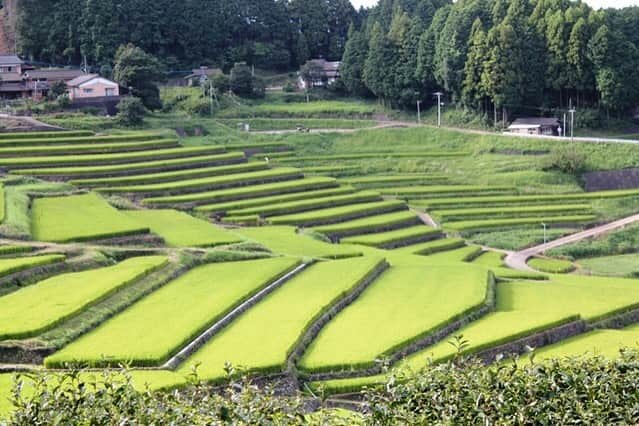 有限会社マルヒロのインスタグラム
