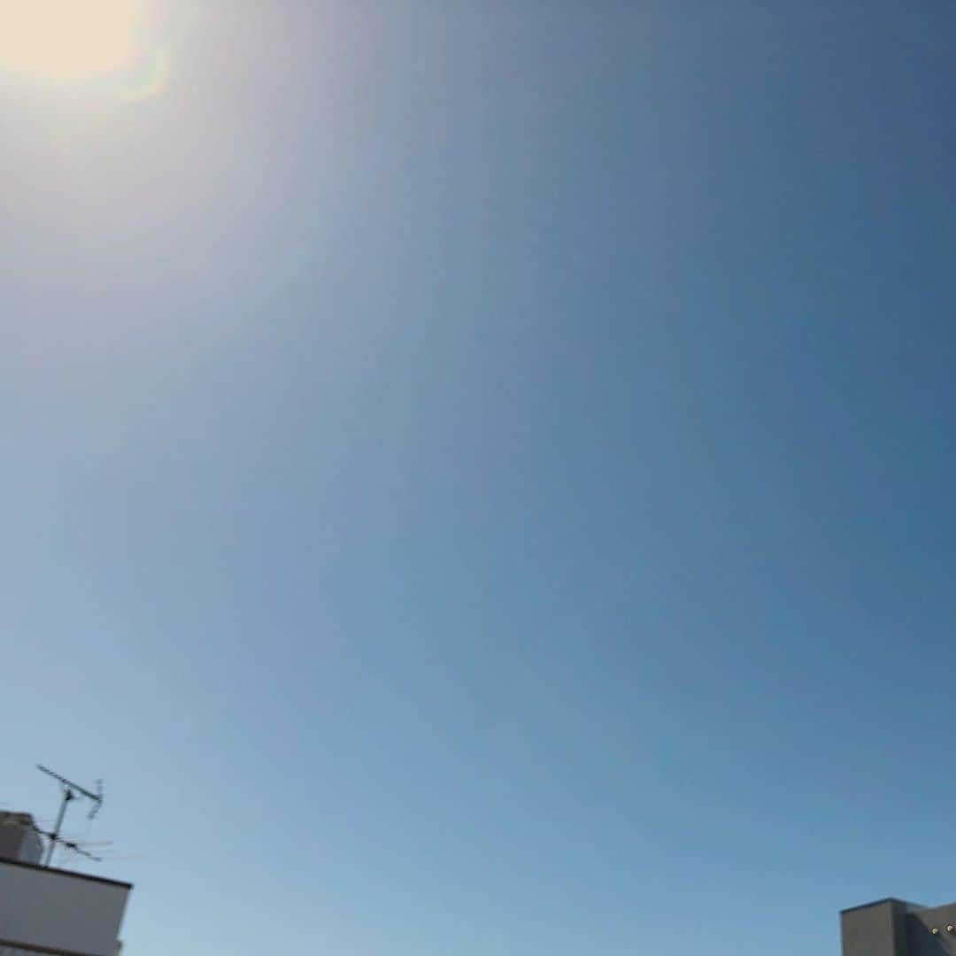 シーサーのインスタグラム：「・ ・ サイコウすぎるくらいの タンクトップ日和だなぁ〜 川とかいって レッツらぷーぷーしたいなぁ〜 ほんとはBBQとかして レッツらじゅーじゅーしたいなぁ〜  #天気いいって大事 #そろそろ夕飯の支度ですかね #何にしましょうかね #たけのこの里食べてます」