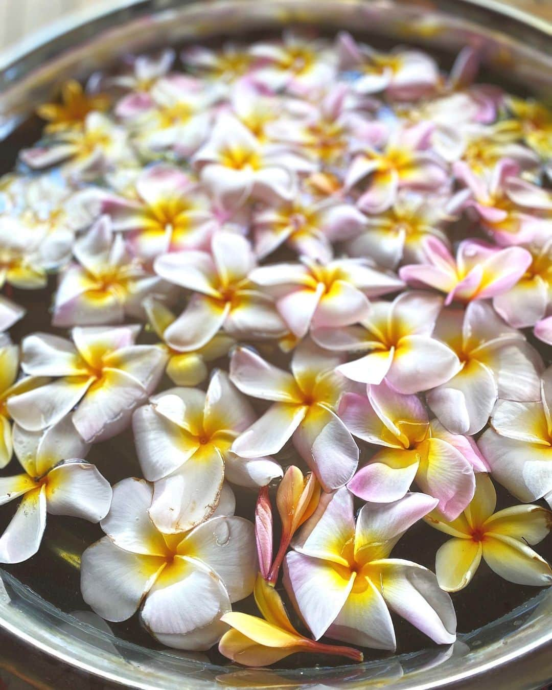 メロディー洋子さんのインスタグラム写真 - (メロディー洋子Instagram)「Happy 1st Day of May! Today is my first ever Lei Day~ I had an incredibly grounding day joining a Beltane circle of community celebrating the Earth and all her bounty, creating flower leis with the most perfect pieces from the blessed plumeria tree, witnessing the fertility that is life, and the love that we can create together @christianrichardcook 🌸 Blessings to all you beautiful friends out there! I am so grateful for you!  #leiday #beltane」5月2日 16時45分 - melody.yoko