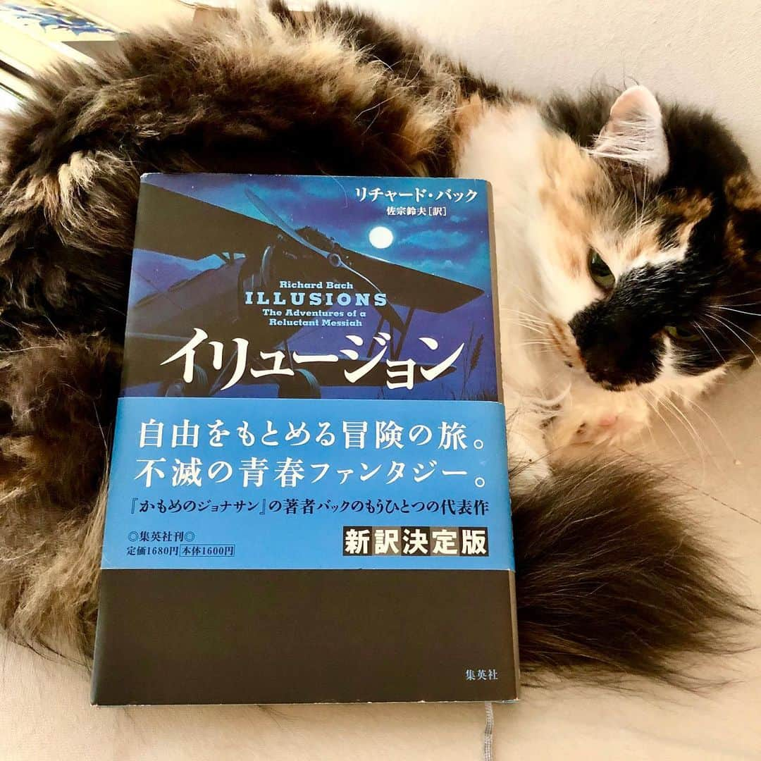 佐伯紅緒さんのインスタグラム写真 - (佐伯紅緒Instagram)「【7日間ブックカバーチャレンジ】6日目  6冊目はリチャード・バック『イリュージョン　悩める救世主の不思議な体験』  処女作『かもめのジョナサン』が世界的大ヒットになってしまったリチャード・バックの第二作。  私はこちらの方が好きです。  だって普通の日系人のアンちゃんが出てきて、ドラえもんみたいに「ぼく救世主、きみもなりたければマニュアルあるよ」なんて言うんですよ。  その彼が言うんです。「この世はすべてイリュージョン」  日々のこまごましたことにうんざりした時、寝る前に少し読むと良い夢が見られることが多いです。  #7days #7bookcovers #bookcoverchallenge  #リチャードバック　#イリュージョン  #cat #猫 #ねこ #ネコ #ねこすたぐらむ  #株式会社ファイブキャッツ #ねこあつめ #保護猫 #三毛猫部 #ネコメンタリー猫も杓子も」5月2日 17時02分 - beniosaeki