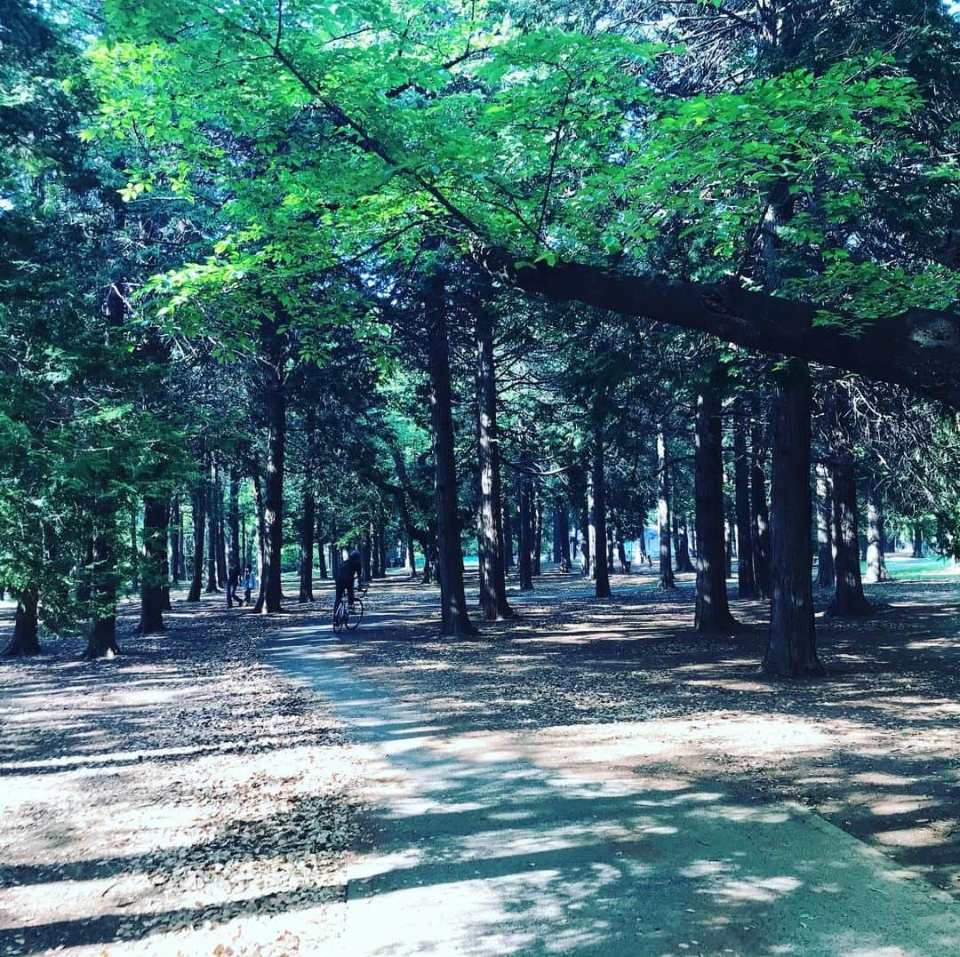 徳重杏奈さんのインスタグラム写真 - (徳重杏奈Instagram)「🌳﻿ 自転車を購入したので﻿ 近くの公園で夫とサイクリング🚲🚲﻿ ﻿ 風が気持ちいい🍃﻿ 空気がおいしい！﻿ ﻿ 今までとは違う過ごし方。﻿ 新たな楽しみになる、かな？﻿ ﻿ ﻿ ﻿ #ちょっと疲れた #明日は筋肉痛 #方向音痴なおしたい #名古屋 #メーテレ #アナウンサー #徳重杏奈」5月2日 17時06分 - anna.tokushige