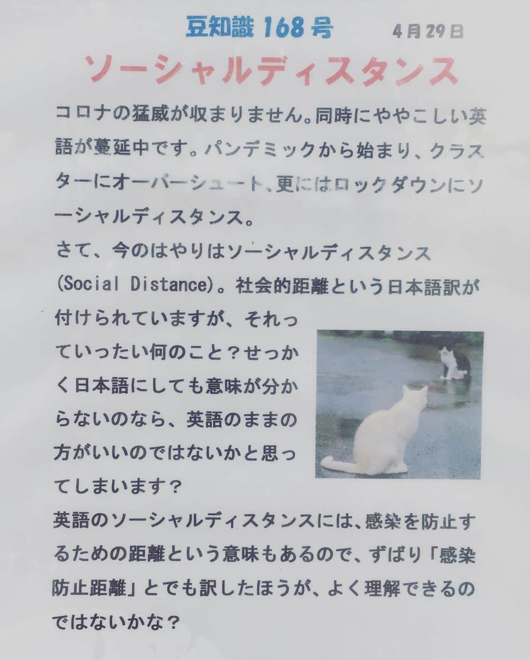 猫沢エミさんのインスタグラム写真 - (猫沢エミInstagram)「光はそこかしこに溢れて。  ロマンスグレーのムッシュが、川沿いで読書。  下町は、今日も人間味豊かでした。  どんな一日も、二度とこない一日。  #東京下町時間　#エミ散歩🚶🏻‍♀️ #下町リアルSNSいいと思います♡」5月2日 17時14分 - necozawaemi