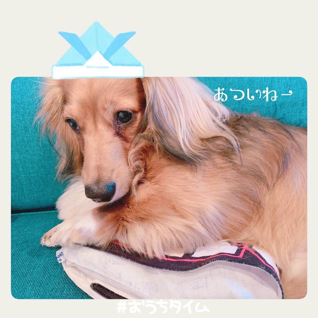 井坂仁美のインスタグラム