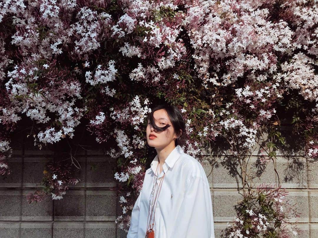 彩衣さんのインスタグラム写真 - (彩衣Instagram)「春」5月2日 18時31分 - ashanly_