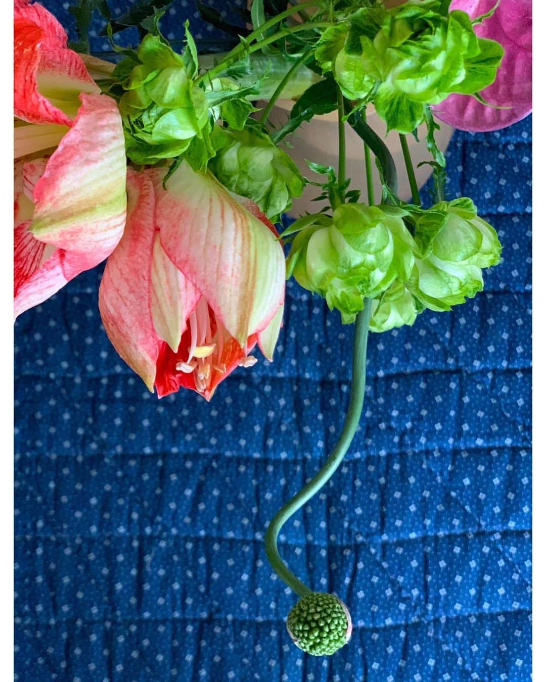 根岸由香里さんのインスタグラム写真 - (根岸由香里Instagram)「. 想いのこもった美しいギフトはこんなにも元気や幸せを届けるんだと実感。美しい花の癒しと何より自分のことを想ってくれたというその気持ちに心が潤う。ありがとう！」5月2日 18時40分 - yukarinegishi