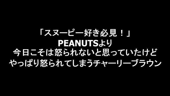 のインスタグラム：「【スヌーピー好き必見！】(要音有り) 怒られないと思っていても、やっぱり先生に怒られてしまう。。。 それにしても先生は何を言っているのだろう。。。 その言葉を理解できるチャーリーブラウンっていったい。。。 #スヌーピー #Snoopy #peanut #チャーリーブラウン #モノマネ #10秒モノマネ #スヌーピーモノマネ #あるある  #サモアンスガイ #サモア #芸人 #お笑い芸人 #大使館芸人 #ミュージカル #近道ラプソディ #ワタナベエンターテインメント #映画 #日常 #ミスタービーン #MrBean #samoa #musical #comedian #entertainer」