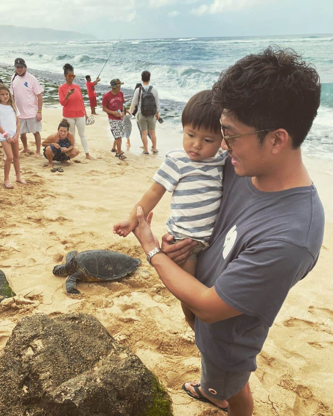 DaisukeNさんのインスタグラム写真 - (DaisukeNInstagram)「🐢 . . #honu #turtle #hawaii #beach #throwback #🐢 #👦🏼」5月2日 20時53分 - da7suke